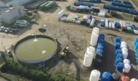 Bertotto Boglione: Expansión Internacional en Shale