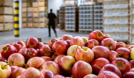 Senasa elimina regulaciones y cambia el escenario para exportadores agroindustriales