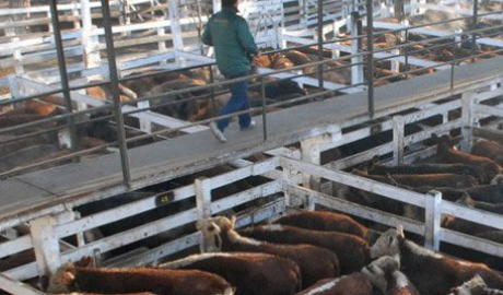 Avanza la desregulación en las exportaciones