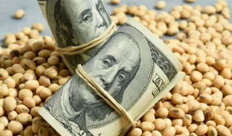 Retenciones en Exportaciones Agroindustriales 2025: Novedades y Cambios