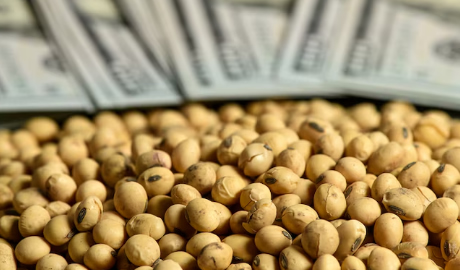 Agroexportaciones argentinas recaudaron más de 2.000 millones de dólares en el último mes