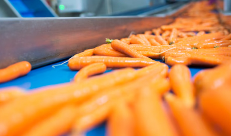 Argentina actualiza las normas de trazabilidad para la exportación de productos vegetales
