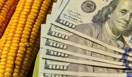 Baja de retenciones: el Consejo Agroindustrial estimó cuánto crecerán las exportaciones