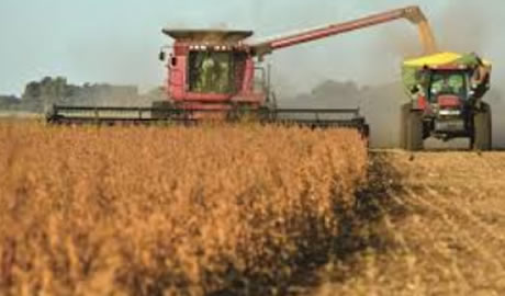 Exportaciones Agro 2024: Oportunidades y Retos del Sector Agrícola
