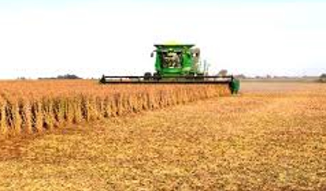 Agroexportaciones cerraron el 2024 con US$ 12,798 millones