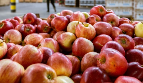 La revolución frutícola: nueva normativa para un sector clave