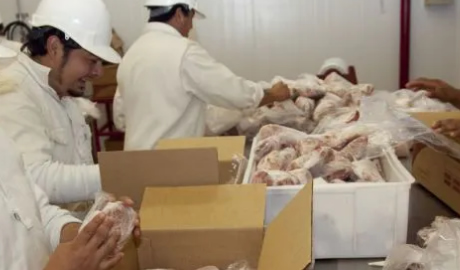 Exportaciones récord contrastan con la caída del consumo de carne en Argentina
