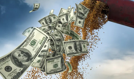 Las exportaciones del Agro crecieron 25% en 2024 y 6 de cada 10 dólares en Argentina los generó el campo