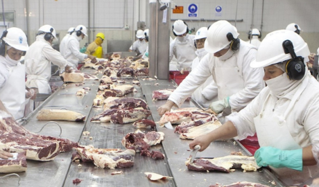 Exportación de carne en alza, empresas locales pierden terreno