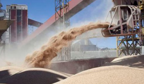 El crushing de soja alcanzó niveles históricos y reforzó la exportación de derivados