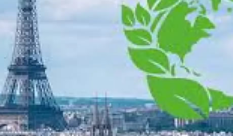 Milei también quiere salir del Acuerdo de París: por qué no es tan grave para la economía