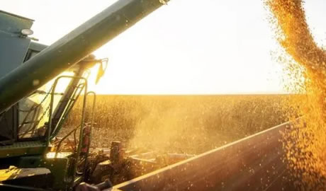 Agroexportaciones: Crecimiento Sostenido y Potencial en 2024