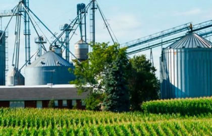 Exportaciones Agroindustria Argentina 2025: Crecimiento y Oportunidades