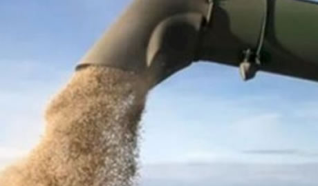 Exportaciones del agro aumentan significativamente en 2025
