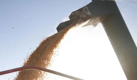 Exportaciones del Agro 2025: Nuevas Oportunidades para Crecer