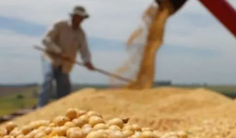 ¿Por qué los productores retienen soja pese a la baja en retenciones 2025?