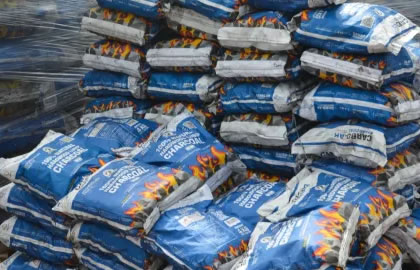 Exportación de Carbón Vegetal desde Chaco: Tendencias 2025