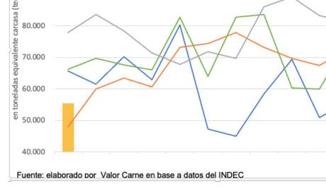 Exportación de Carne Argentina en Aumento: Datos de Enero 2025