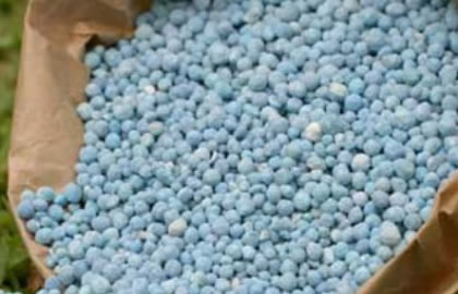 Facilitación de Importación de Fertilizantes: Claves 2025 para Éxito