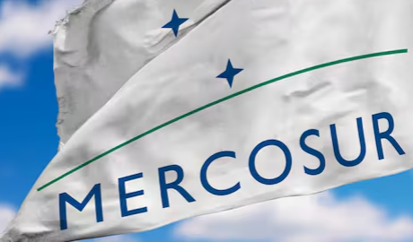 Mercosur: qué implica el anuncio de Javier Milei sobre una posible salida de la Argentina del bloque regional