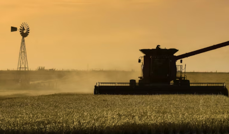 Argentina y el desafío de alimentar al mundo en un siglo de cambios
