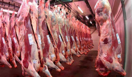 El mercado de carne vacuna se redefine ante cambios en la demanda global