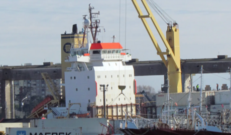 Baja en los desembarques y caída en las exportaciones pesqueras durante enero de 2025