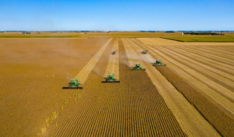 El agro argentino proyecta un ingreso de US$ 30.800 millones por exportaciones en 2025