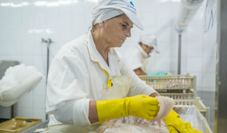 Exportaciones Pesqueras 2025: Crecimiento en el Primer Bimestre