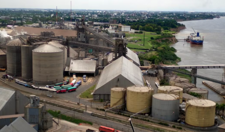 Las exportaciones agroindustriales sumaron US$ 1880 millones en marzo, un 26% más que en el trimestre de 2024