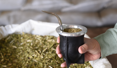 ¿Qué país se lleva el 77% del total de yerba que exporta la Argentina?
