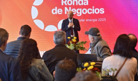 La Ronda de Negocios Vincular Energía 2025 conectó a potenciales proveedores con organismos públicos
