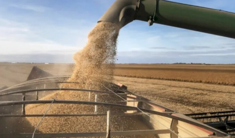 El campo acelera la exportación: buenos datos de cosecha y hasta 5.500 camiones diarios en puertos cerealeros