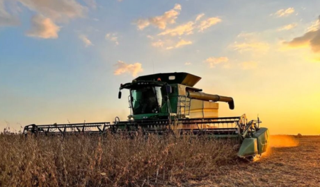 Argentina podría alcanzar una supercosecha de 251 millones de toneladas hacia 2035