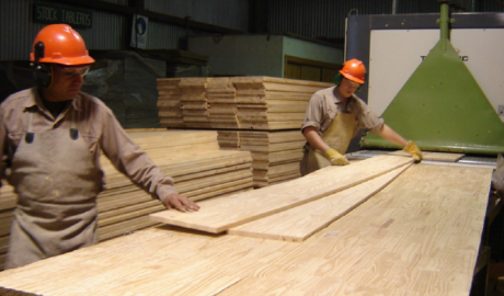 Las exportaciones de madera aumentaron en volumen un 41% en el primer bimestre