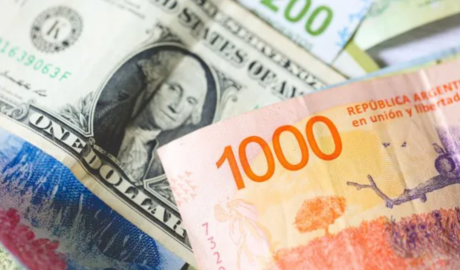 Economía bimonetaria: los depósitos en dólares crecieron cinco veces más que en pesos
