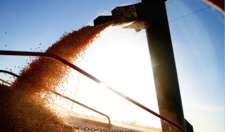 Las exportaciones agroindustriales argentinas crecieron en abril