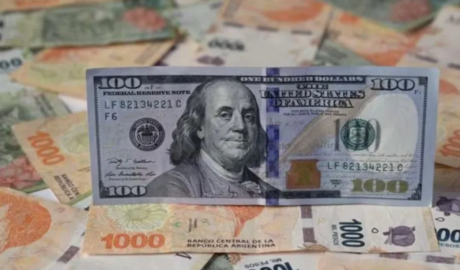 Mercado cambiario: el dólar oficial se hunde y repunta el riesgo país