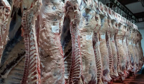 Argentina, la cuna de la carne, ahora recurre a importaciones: ¿Qué está pasando?