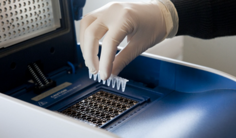 Argentina autoriza la importación libre de insumos para investigación científica
