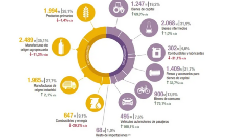 Superávit Comercial en Mayo 2024: Crecimiento y Oportunidades