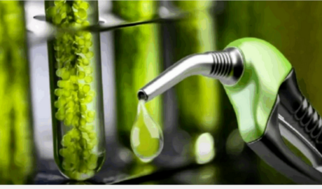 Nación aumentó un 10% los precios de los biocombustibles: debates por el corte obligatorio