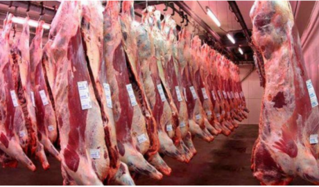 Los frigoríficos exportadores vuelven a sonreir: Por la devaluación y la quita de retenciones el precio en dólares del novillo se redujo 15%
