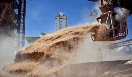 Récord de Exportaciones Primer Semestre Argentina