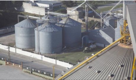 EEUU da más subsidios a sus productores de soja y Argentina tiembla: los motivos