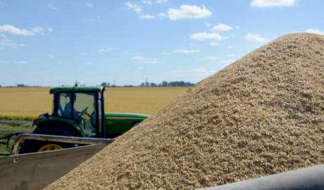 El sector agroindustrial generó el 60% de las divisas que ingresaron al país en el primer semestre