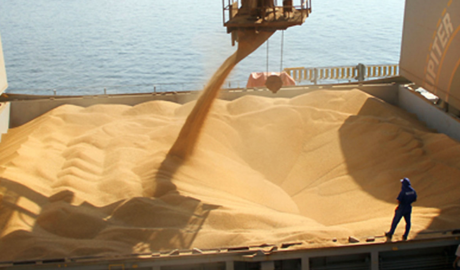 Exportaciones en alza, productores en baja: radiografía de un agro cada vez más desigual