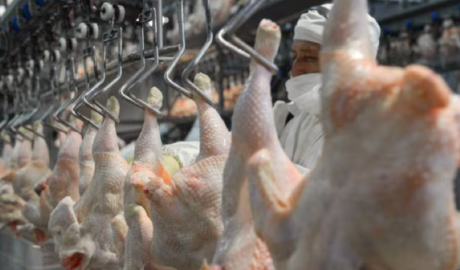 Otro éxito libertario: En los primeros siete meses del año ya se superó el récord de importación de pechugas brasileñas