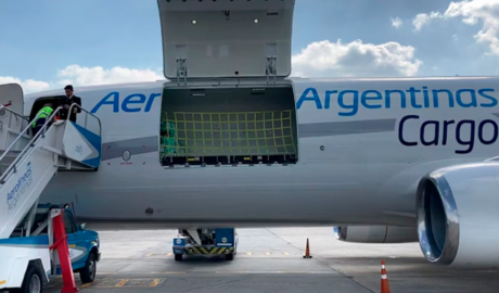 Exportar será más simple