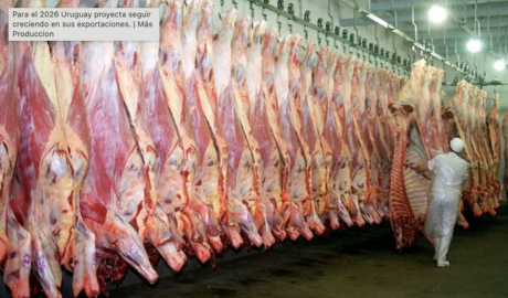 Uruguay marca la diferencia en el mercado de carne: lo que Argentina puede aprender